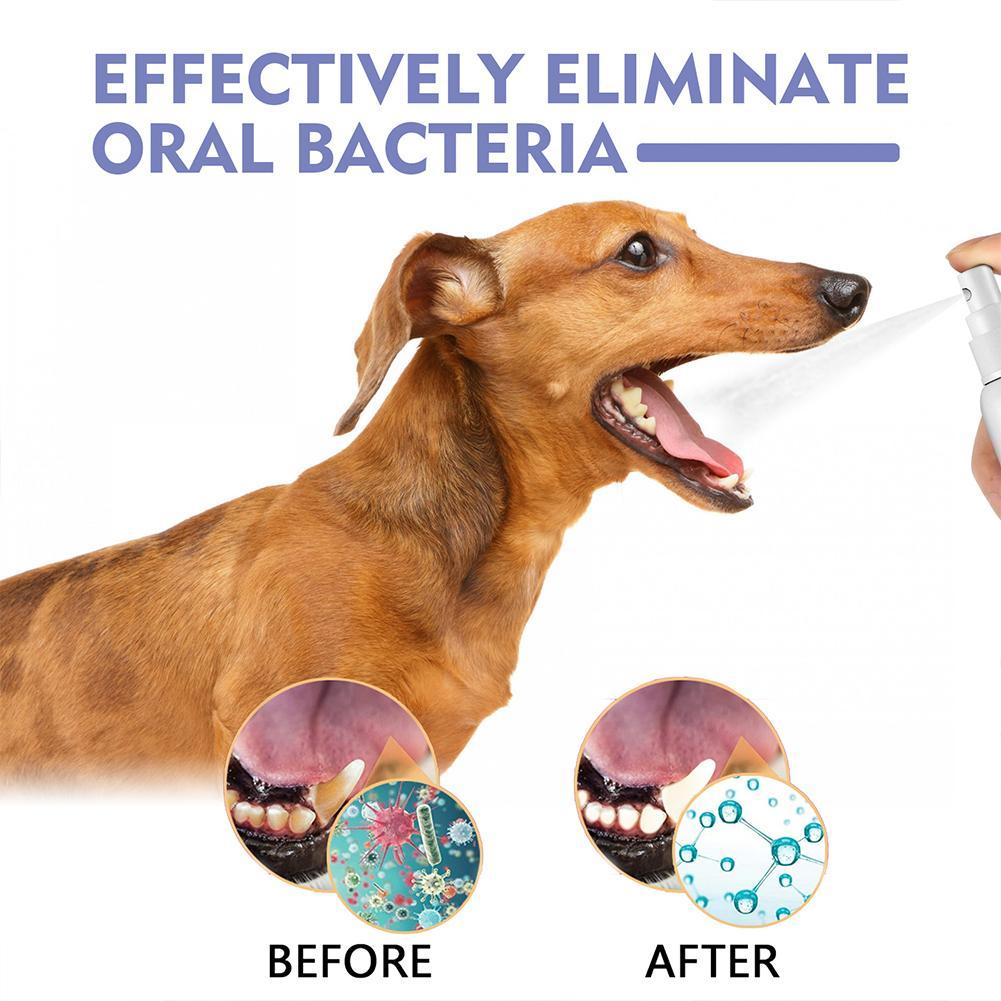 Pet Mouth Spray,Fresh Breath & - đánh giá và giá Teeth Whitening Mouthwash