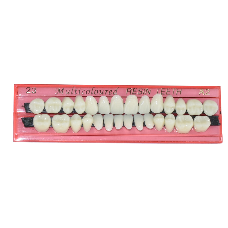 28 Teeth Dental Resin Denture  - đánh giá và giá Teeth Whitening Kit